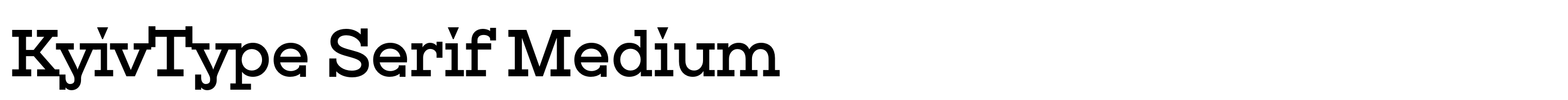 KyivType Serif Medium